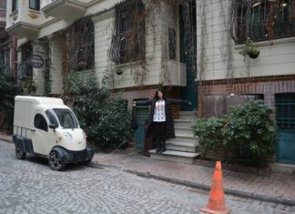 The Carnegie Commission’s Opinion