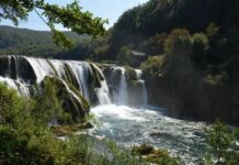 Germany’s Role in Supporting the Sultan