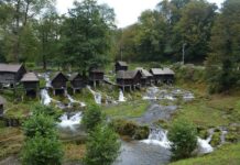 German Investments in Turkish Lands